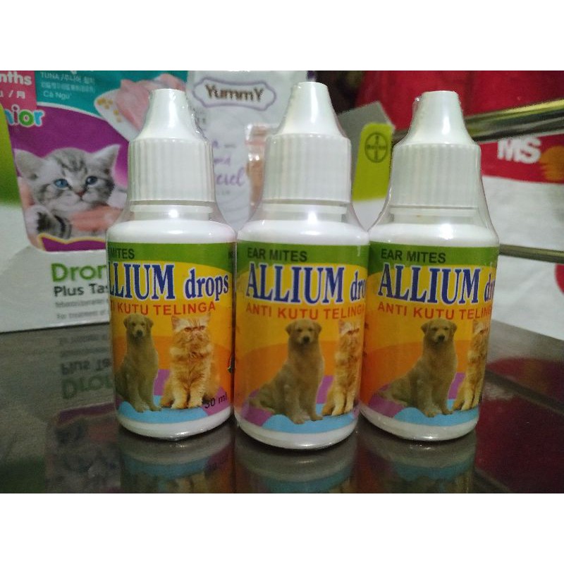 Allium Drops (obat tetes telinga kucing)