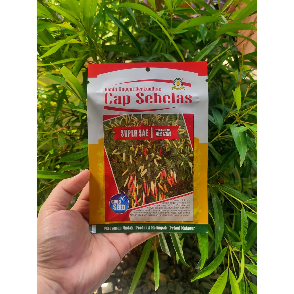 Benih Cabai Rawit Super Sae 10gr - Cab Sebelas