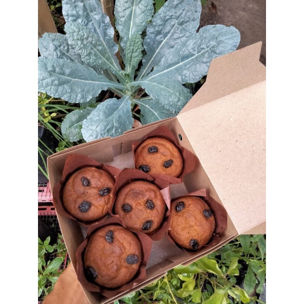 

Vegan Gluten Free Pumpkin Muffin