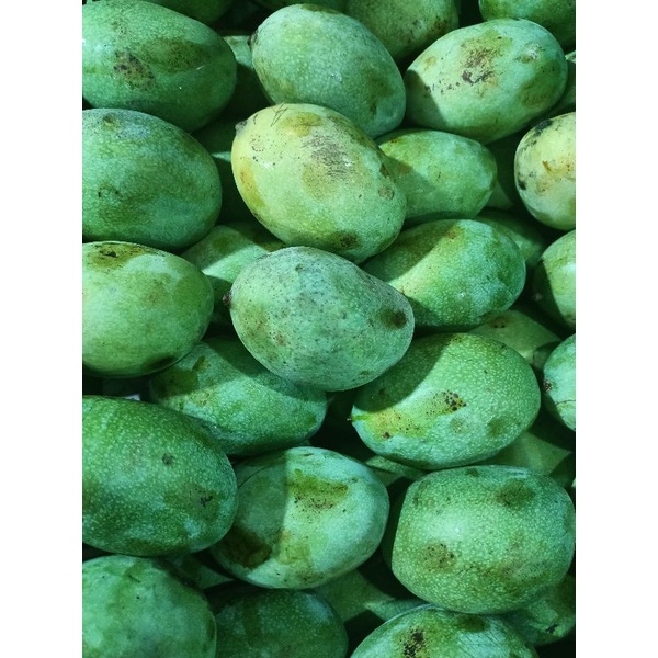 

Mangga manalagi 1kg|mangga manis|buah fresh bandung