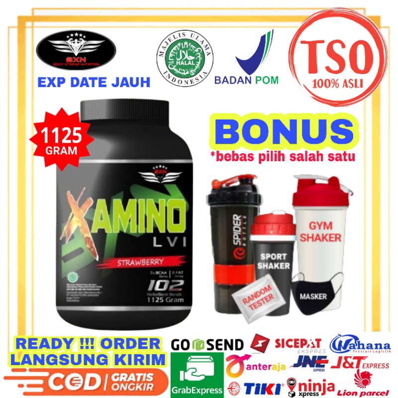 BXN Amino LVI 1125 Gram Amino BXN Amino 1125 Gram Suplemen Fitness BXN X Amino LVI 1125 Gram BXN Ami