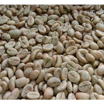 Robusta Temanggung Kopi Robusta Greenbean Grade A Kopi Robusta 1 kg Robusta Natural Proses