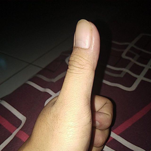 Nippon Cat Pylox Basics 300cc Semprot Spray Pilox Piloks Plastik Besi Motor Mobil