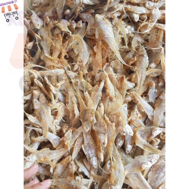 

Kedai pasar21 Grosir Ikan Asin Bulu Ayam Segar 100 gram Murah Berkualitas