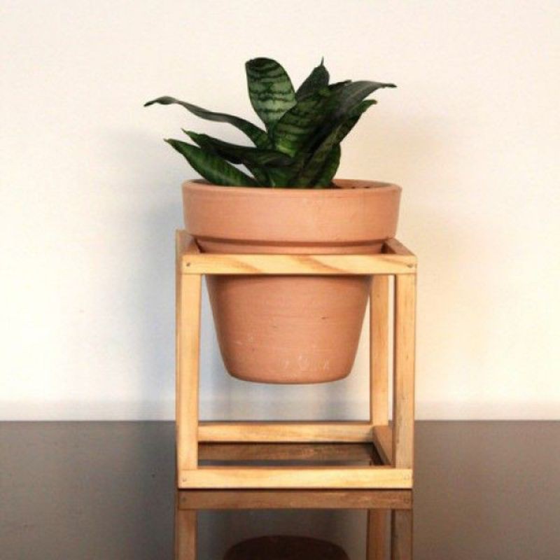 Rak Pot Tanaman Kayu Jati Belanda