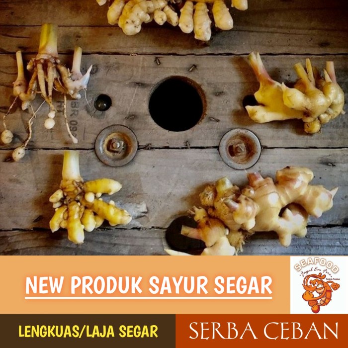 

PROMO LENGKUAS/LAJA FRESH SERBA CEBAN