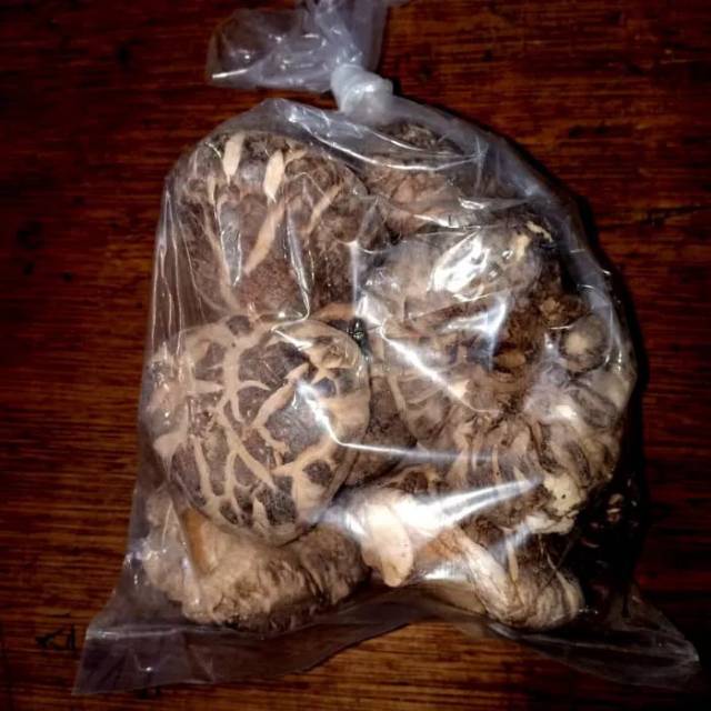 

Jamur Yoko 250gr