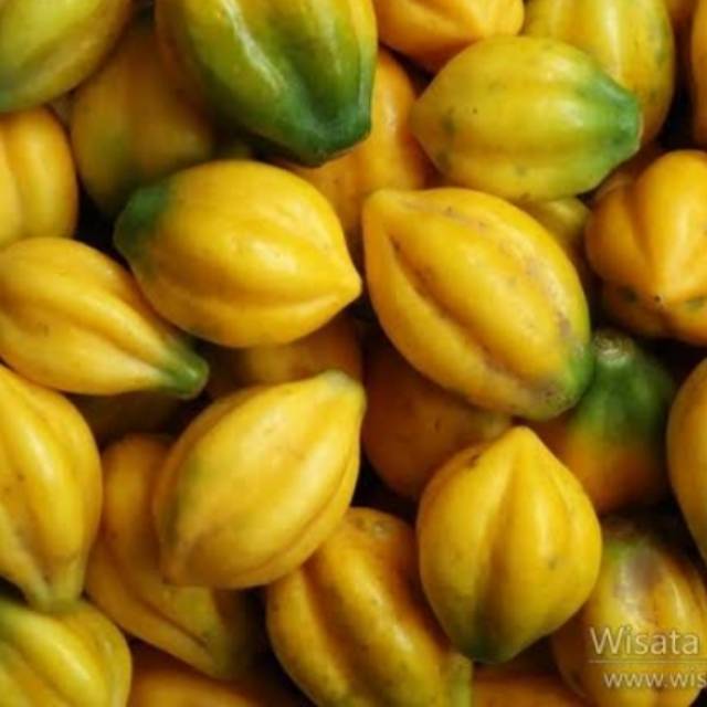 

Buah Carika Khas Dieng 1kg