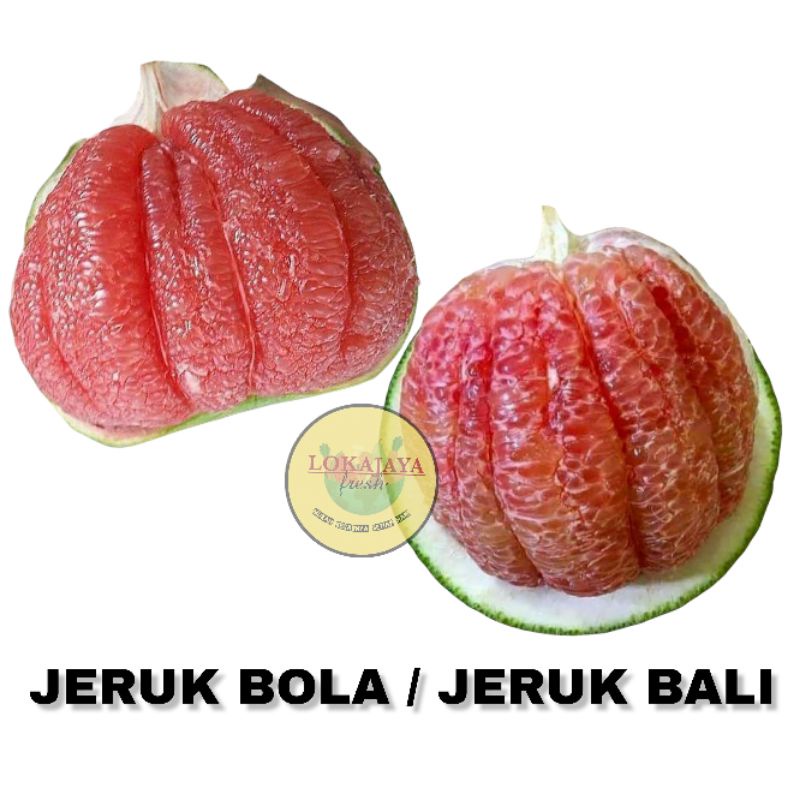

Jeruk Pamelo | Jeruk Bali | Jeruk Bola 1 Pcs