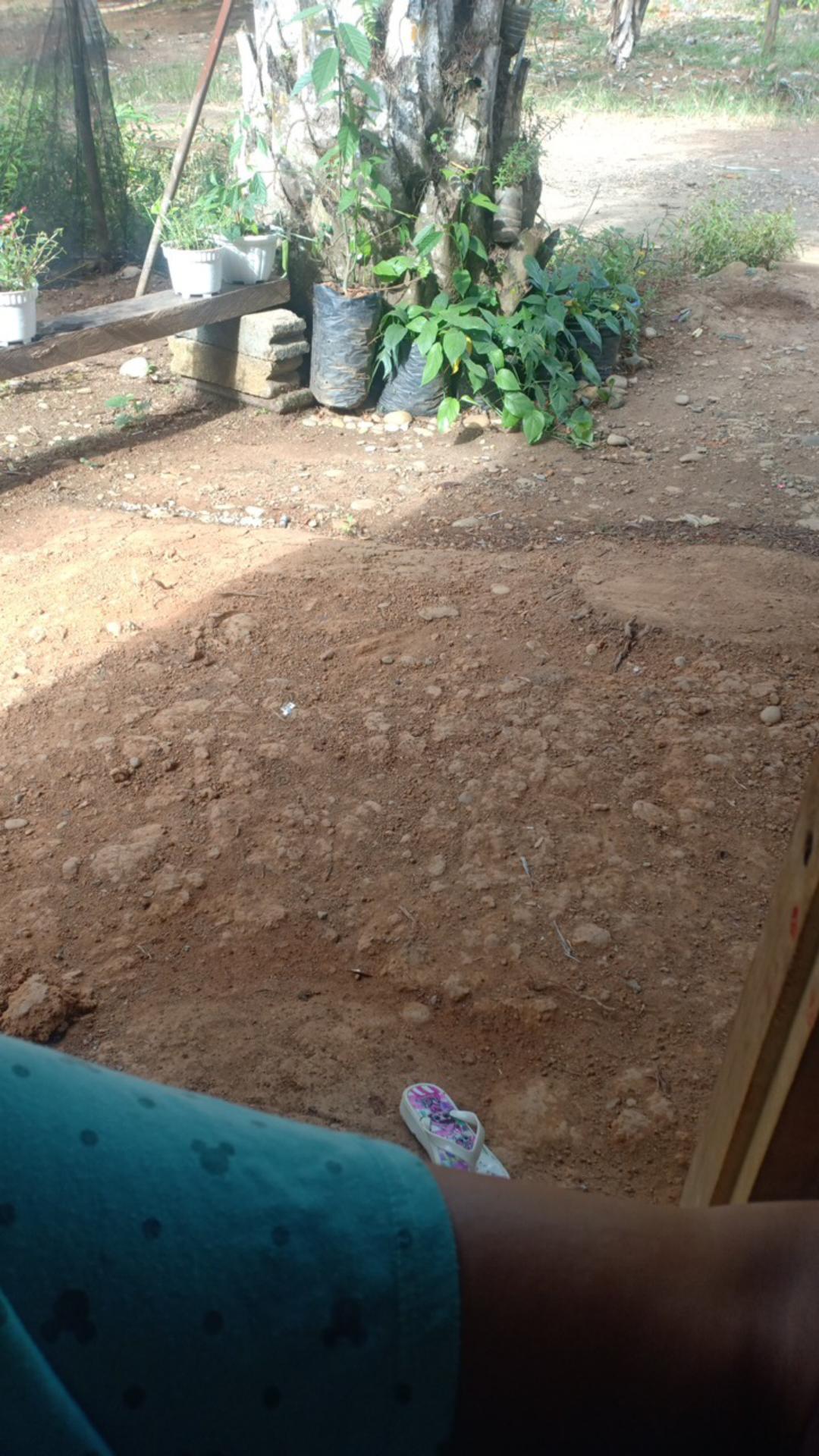 Grosir Baju Bali Kaos Bali Kaos Barong Anak Pakaian Bali Piyama Anak Batik Anak Baju Tidur Terlaris