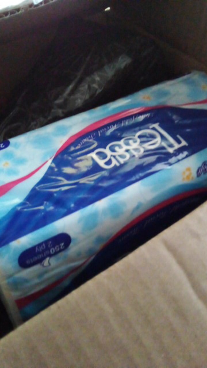 Tisu Tessa 250 Sheets 2 Ply