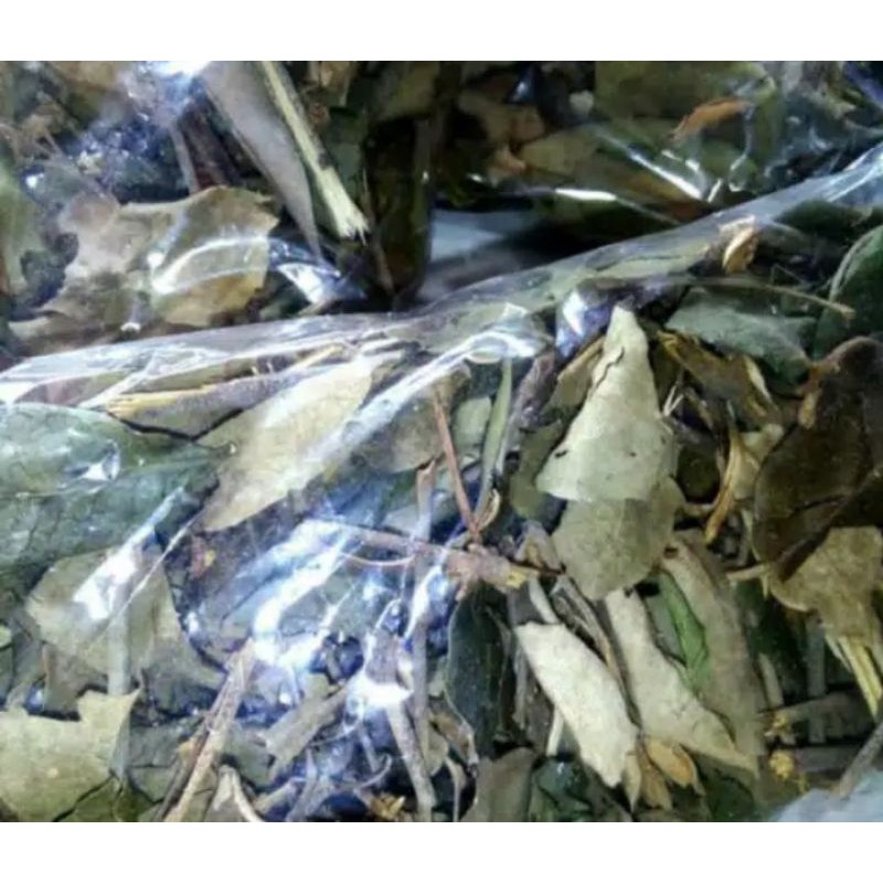

Benalu Mangga kering 250Gram