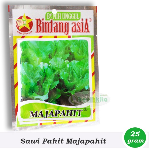 Benih/Bibit Sawi Pahit Majapahit (Bintang Asia)