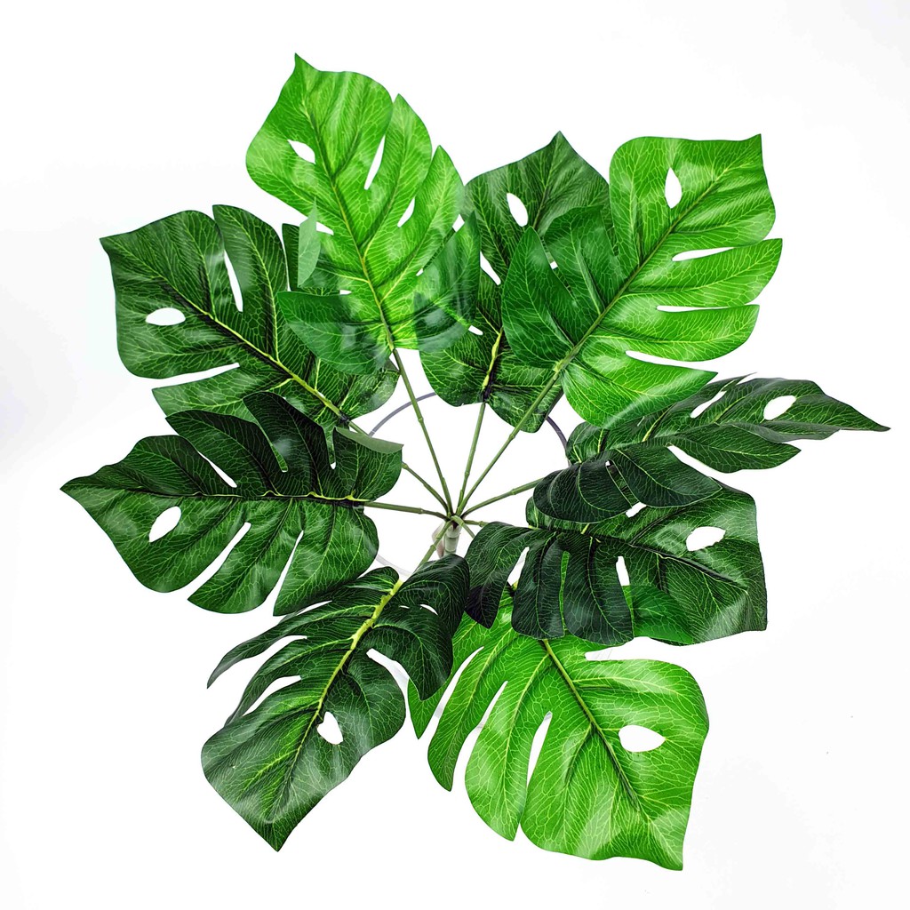 Jual Daun Monstera Plastik Cm Daun Plastik Daun Palsu Daun Artificial Daun Dekorasi