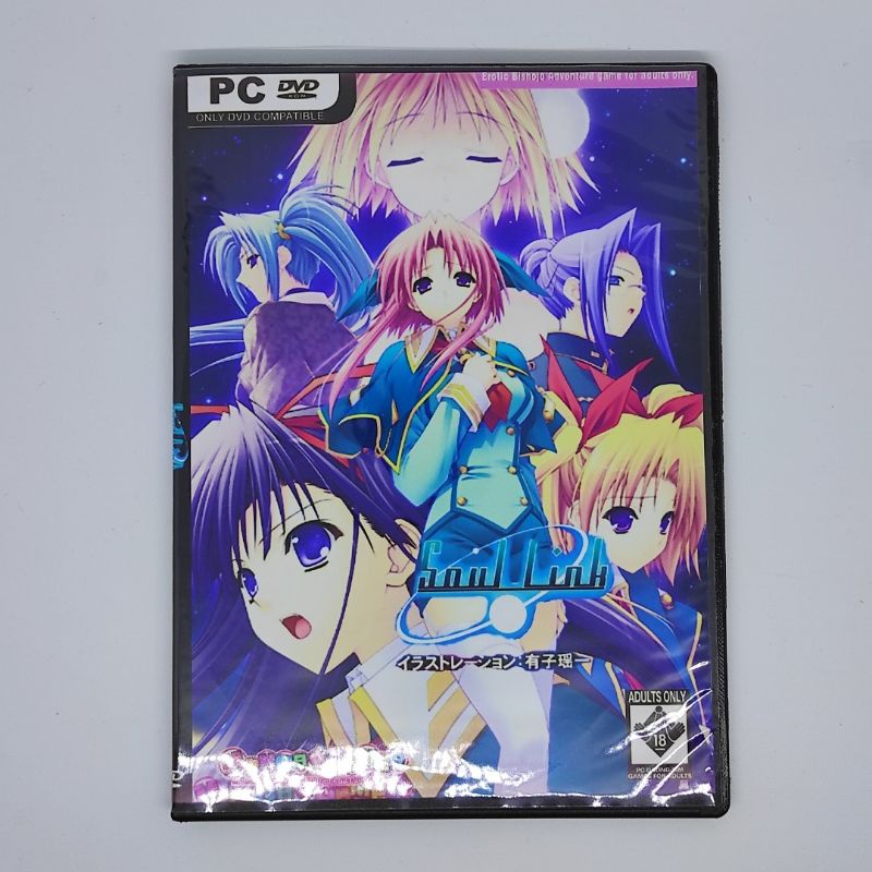 Soul Link (Visual Novel)