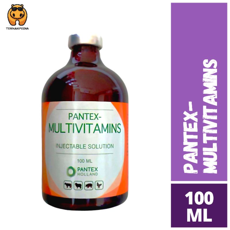 Obat -Pantex Multivitamin 100 ml - Multivitamin Pantex - Multivitamin Injeksi - Injeksi Multivitamin