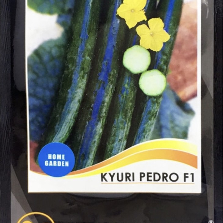 Benih New Day seed - Timun Kyuri F-1