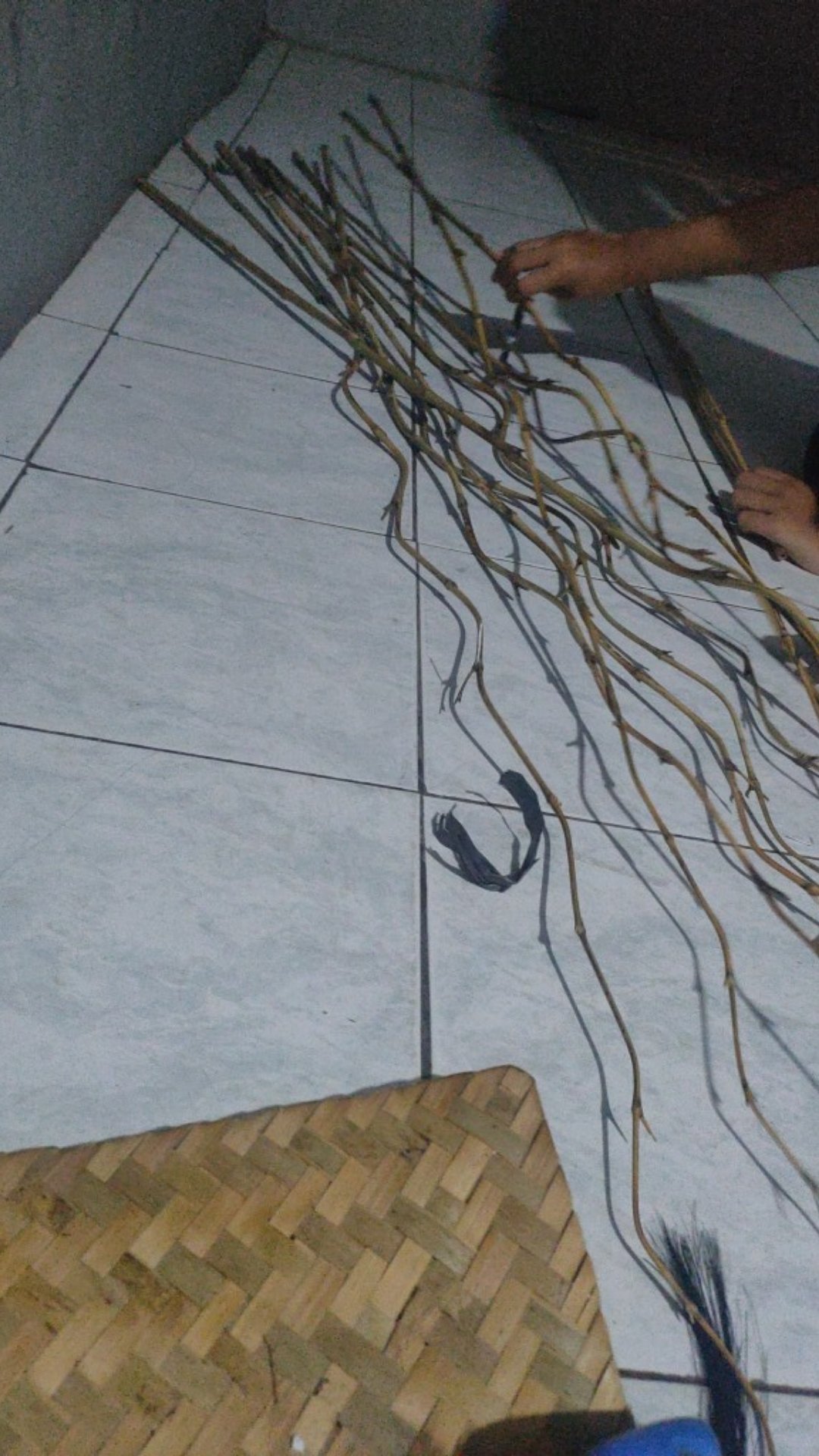 Satu Batang Bambu Ulir Polos Natural (min 15 Btg Bisa Mix Barang Lain)