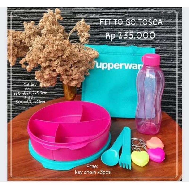 fit to go lunch set tosca tupperware
