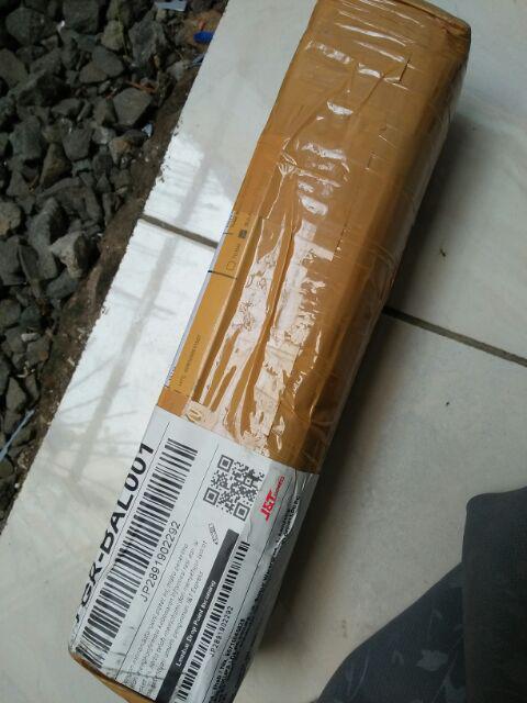 Tanaman Hias Krokot Putih - Kerokot Variegata