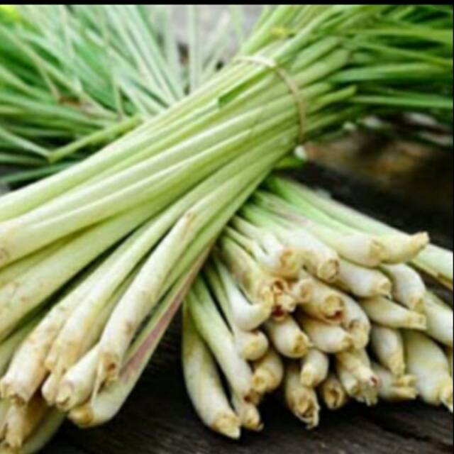 

Serai/Sereh Bumbu Dapur