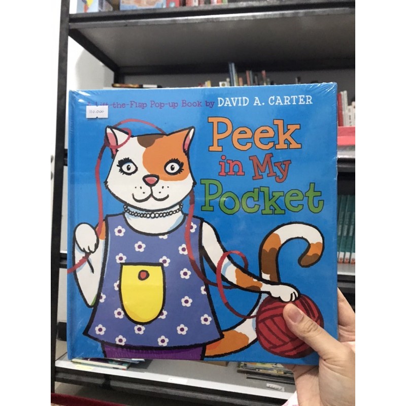 Jual Pop Up Peek In My Pocket Book Indonesia Shopee Indonesia