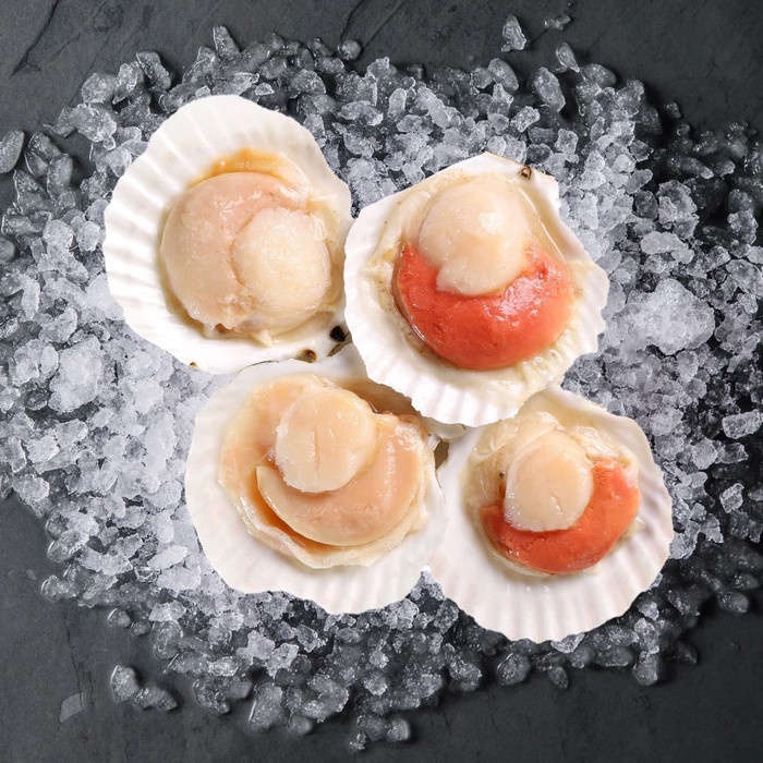 

NATUREFOOD HALF SHELL SCALLOP ROE KERANG COCOK BUAT Hotate Mentaiyaki