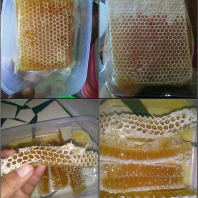 

Madu sarang murni