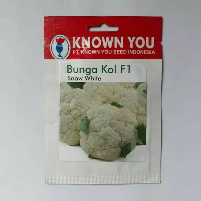 Benih Bibit Bunga Kol F1 SNOW WHITE