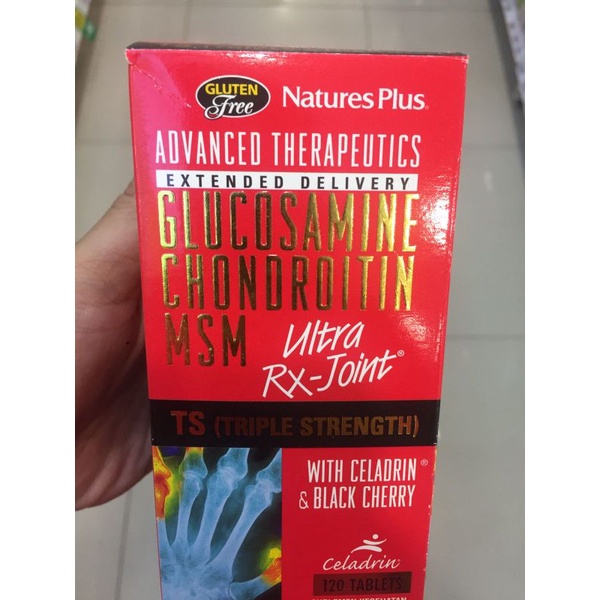 glucosamine chondroitin msm 120