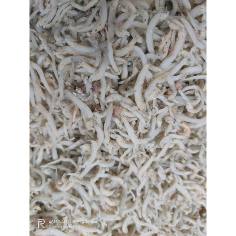 

Ikan teri medan kualitas premium 250gr