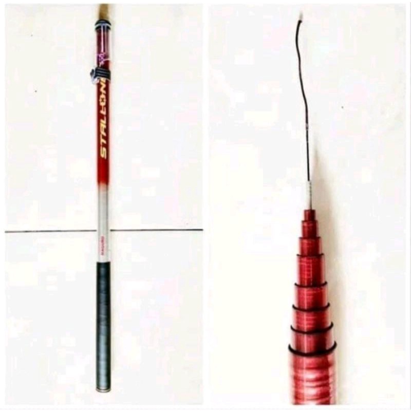 TEGEK MAGURO STALLONE 300 ... HARD