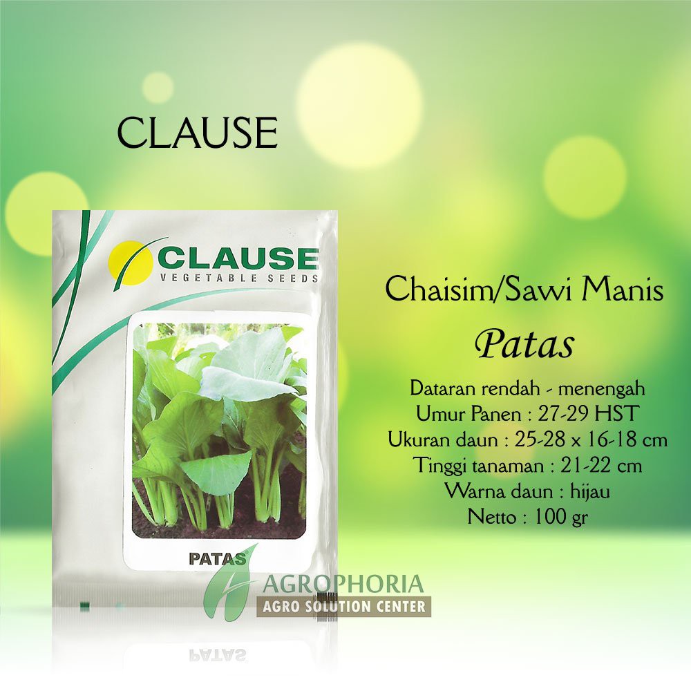 Benih Sawi Patas 100 Gram - CLAUSE Limited
