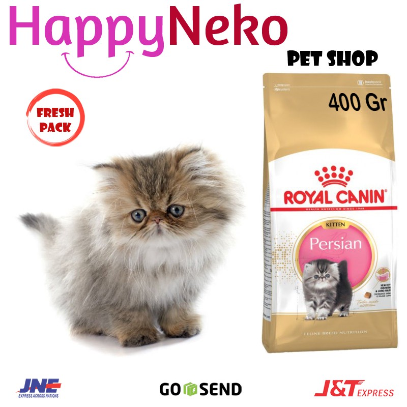 harga royal canin kitten persian 400gr