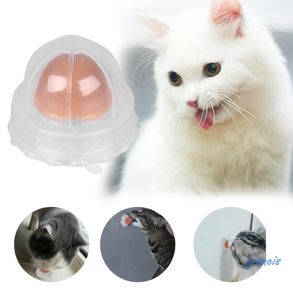 Permen Catnip Vitamin Nutrisi Untuk Hewan Peliharaan Anjing