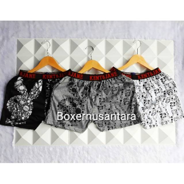 Boxer dewasa boxer karakter boxer lucu dewasa kolor dewasa