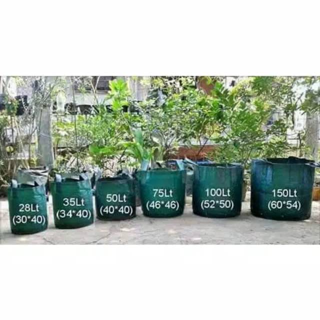 Planterbag untuk menanam benih buah besar // vas bunga go green