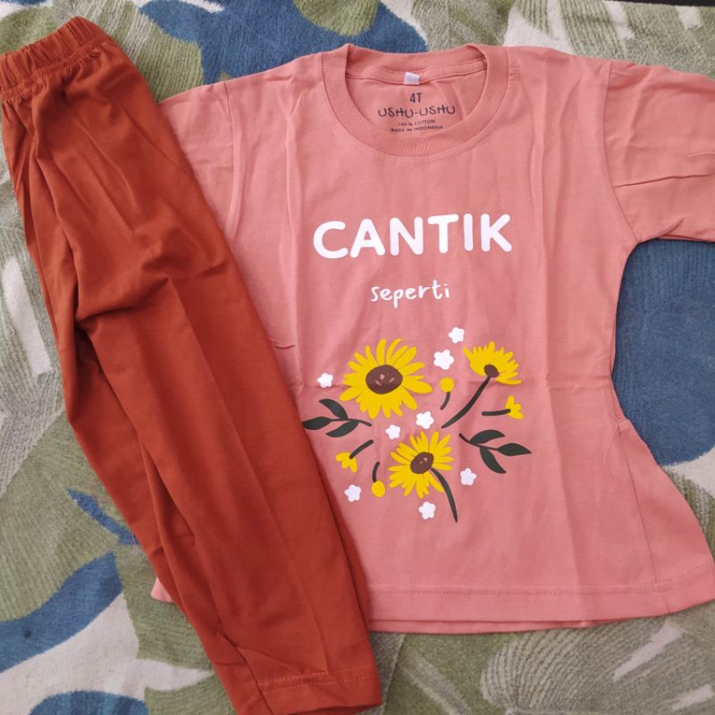 Ushu Ushu Aku Series