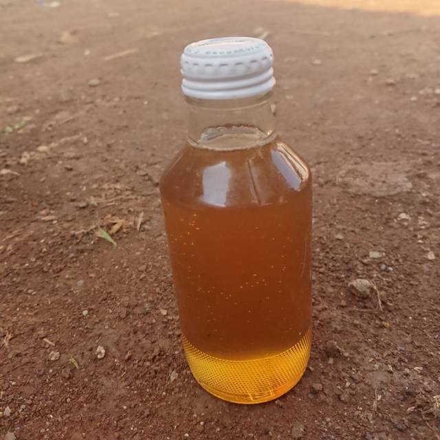 

Madu murni