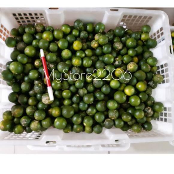 

3.3 FLASH SALE Jeruk Sonkit 1000 gram 1kg / Jeruk Kunci / Jeruk Kasturi / Jeruk Kesturi / Lemon Cui / Sen