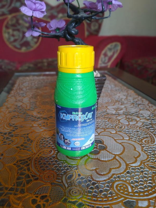 Kuproxat 345sc Isi 200 Ml Fungisida Dan Bakterisida Tembaga