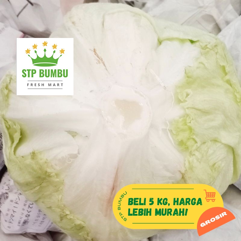 

Letuce Head Segar Fresh 1kg / Lettuce / Sayur Letus