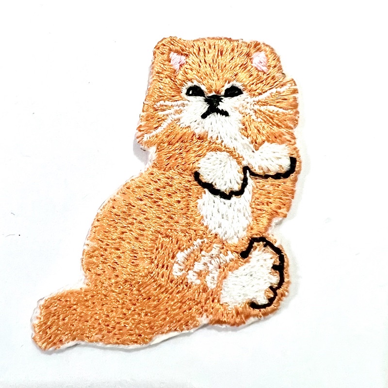 Patch Cat, Kucing