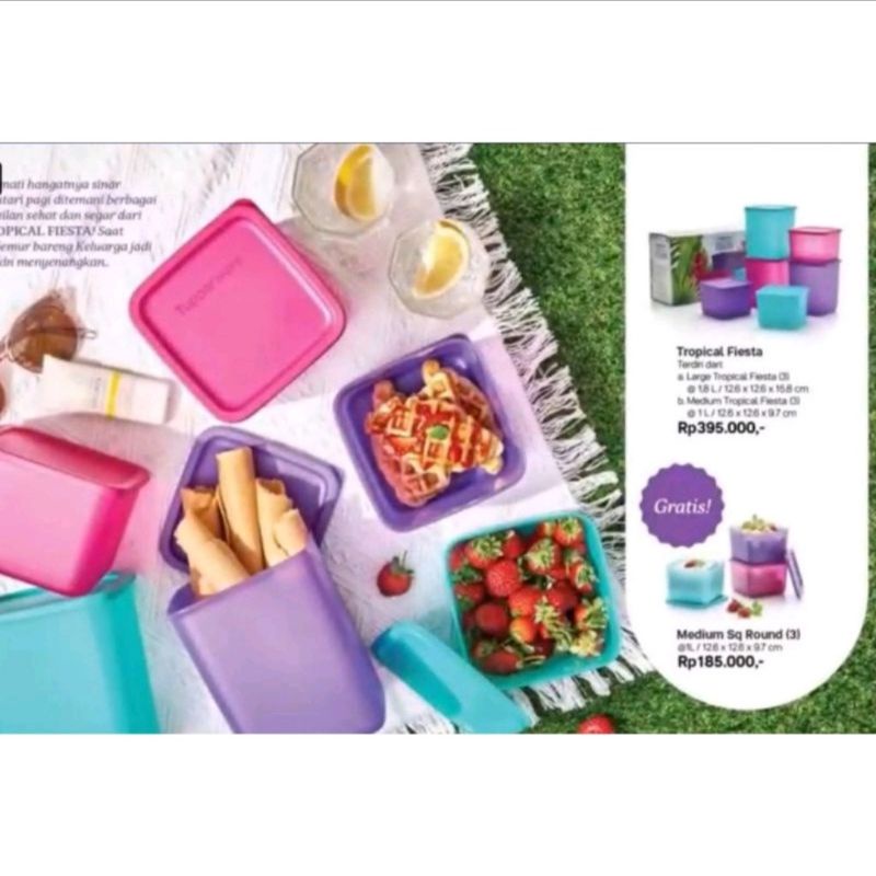 tropical fiesta tupperware free,kotak kue