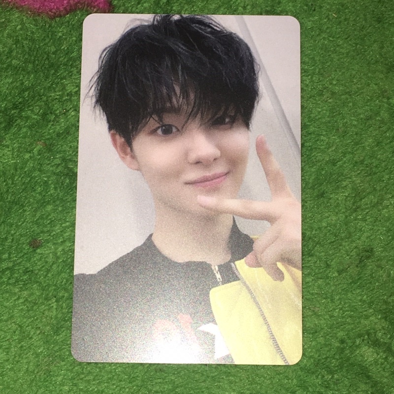 [BOOKED] photocard applewood 1.0 Jihoon TREASURE