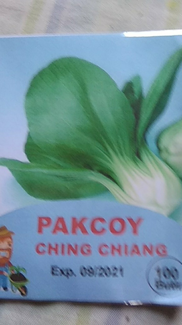 Benih Biji Bibit Sayuran/sayur Pakchoy Ching Chiang