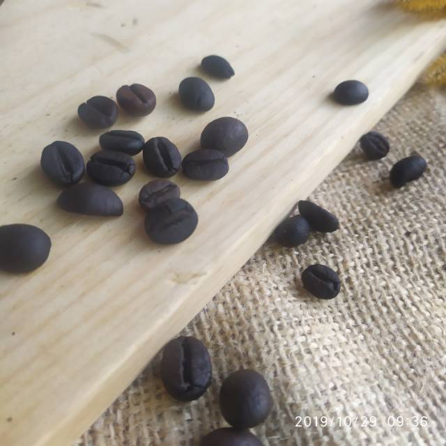 

BIJI KOPI 30GR / biji kopi utuh untuk properti foto/ kopi utuh / kopi asli / kopi sangrai