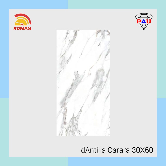 Keramik Dinding ROMAN 30x60 dAntilia Carara W6364R