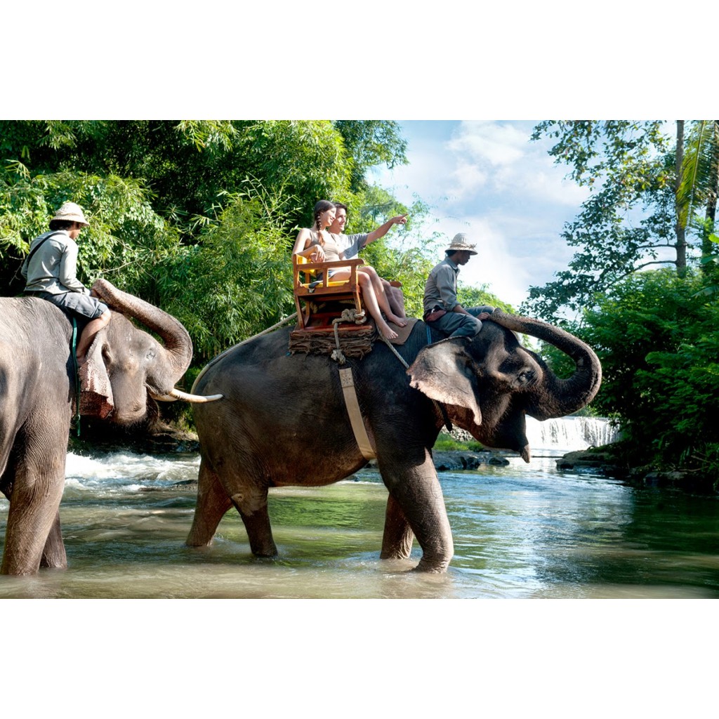 Tiket Naik Gajah Bali Zoo Park