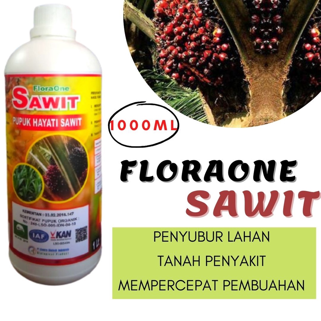 Obat Bercak Daun Kelapa Sawit, Pupuk Percepat Pekecambahan Biji, Fungisida Hayati Sawit Baru Tanam